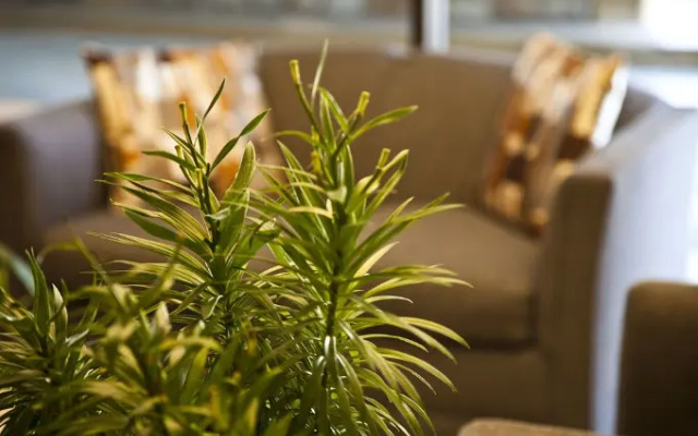 Golden Green Hotel - Charlotte