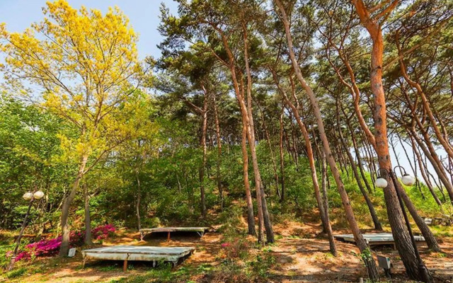 Hwaseong Dongmisan Pension