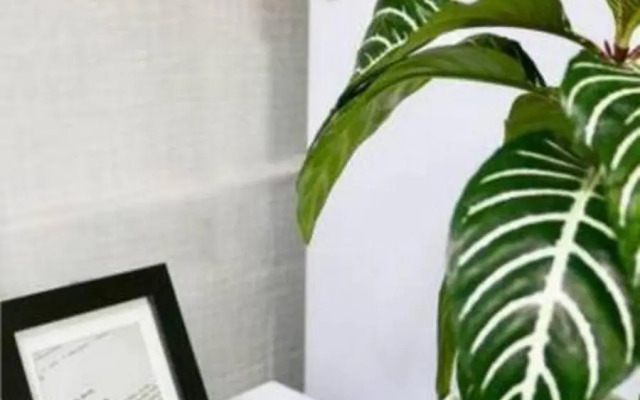 Seoul City Center 2beds Residence