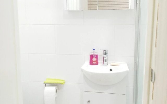 Nice n Cozy Apartment London