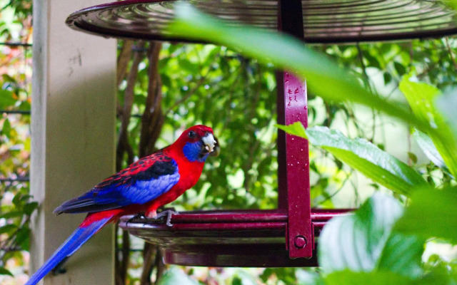 Mt Glorious Getaways