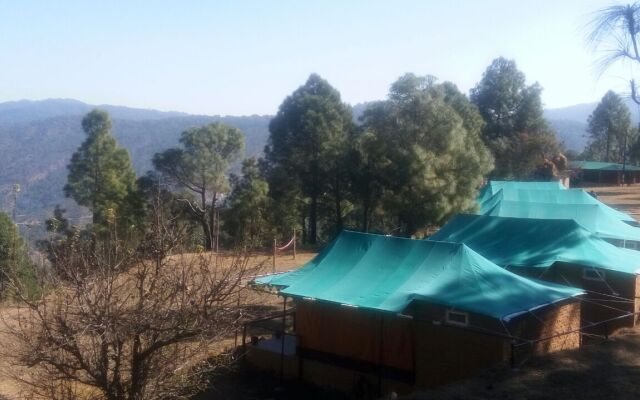 Bay Berry Camp & Resort