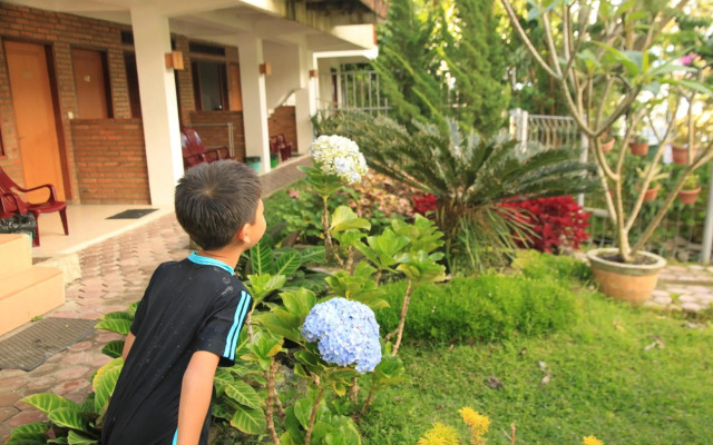 Pandu Lakeside Hotel Parapat - Toba Lake