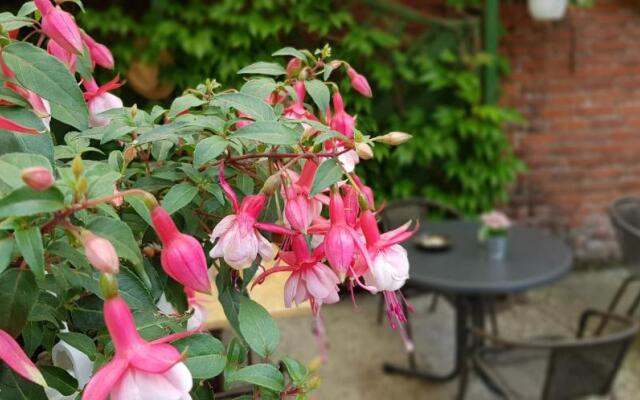 Pension Bartoschewitz