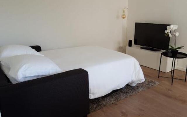 La Roseraie - Appartement À 100M Du Lac D'Annecy