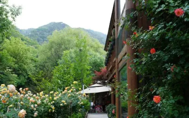 Buer Muju Hotel
