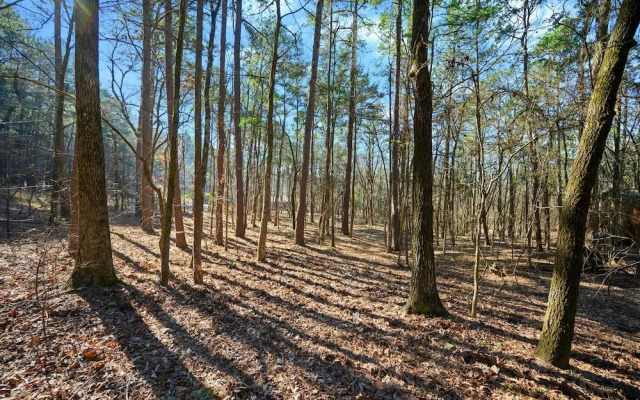 Outlaw Rose Cabin for 8!