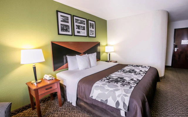 Spark by Hilton Killeen