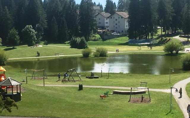 Appartamento Dalma Foresta