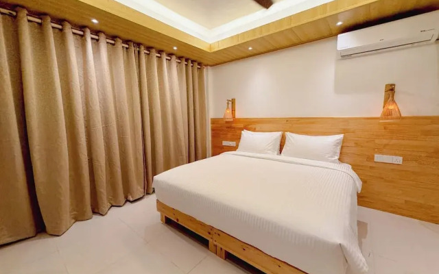 Pavona Maldives