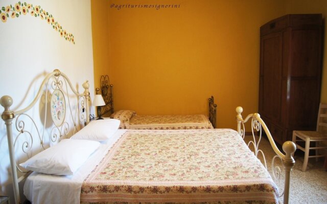 Agriturismo Signorini