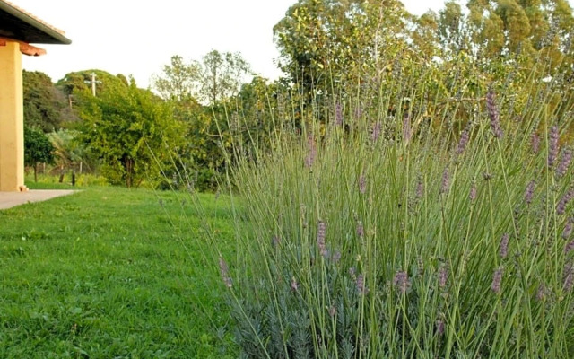 Al Vecchio Fontanile B&B