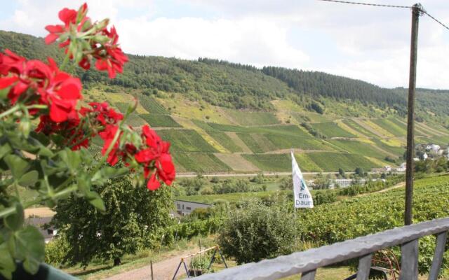 Weingut-Brennerei-Gästehaus Emil Dauns