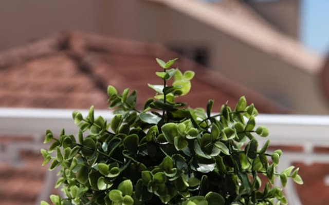 Fashionable & modern apartment Cascais