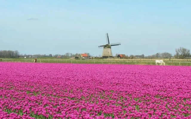 Vakantiedorp Het Grootslag