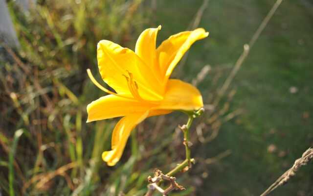 WilloBurke Boutique Inn & Nordic Spa