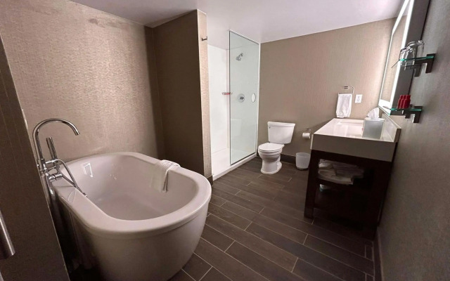 Skyline Hotel Detroit Airport, SureStay Collection by BW