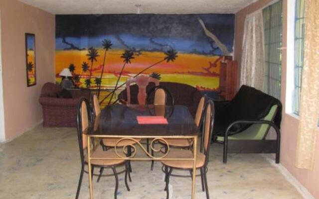 Real Dominican Republic Discovery