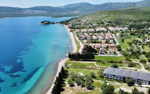 Olive Beach Residence