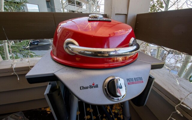 Snowblaze Condos Building C Unit 24