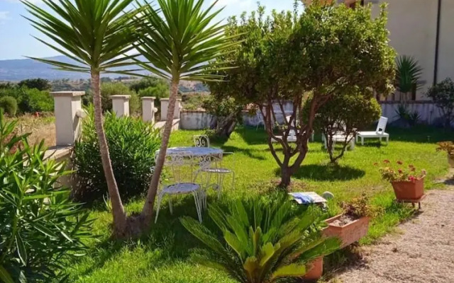 Lollis Corner La Muddizza