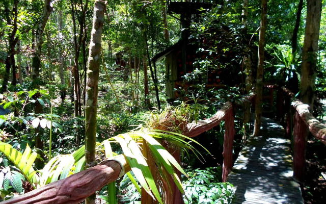 Khao Sok Tree House