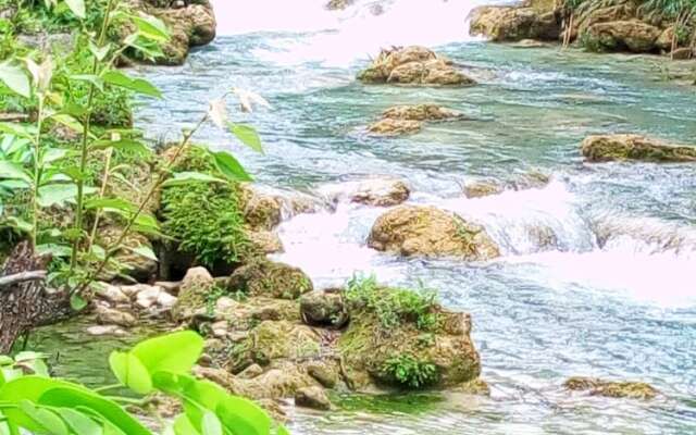 Room in Lodge - Sierraverde Cabin "cabaña el Cedro"
