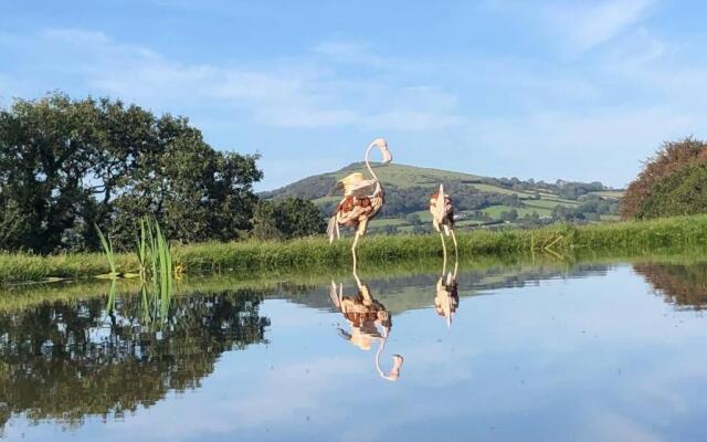 Stables, 1 bed Eco earth house, edge of Dartmoor