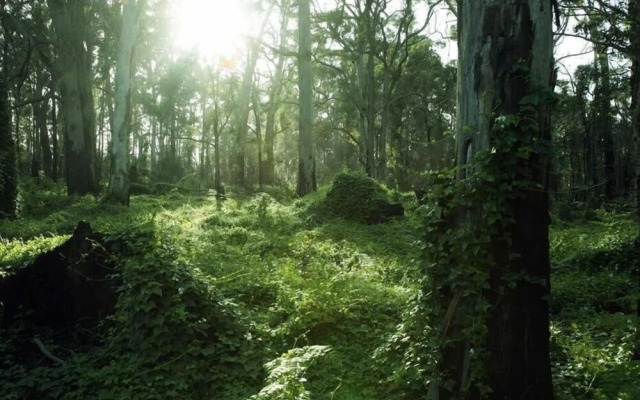 Heritage Trail Lodge Margaret River