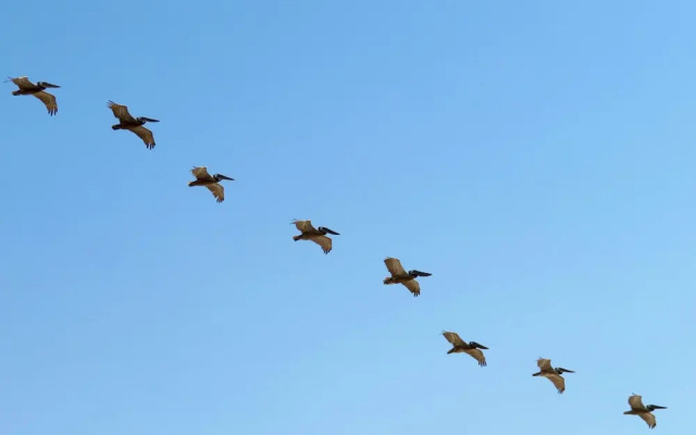 Playa Encanto Scenic Gem Ocean Front Home