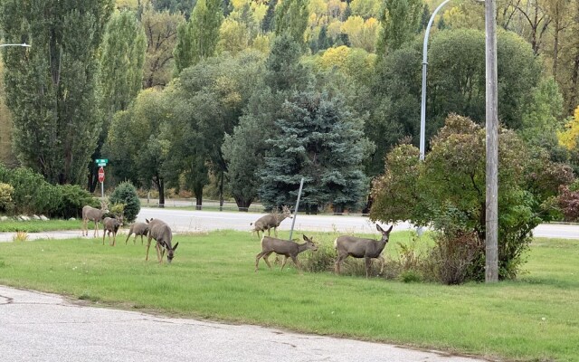 Greenview Motel and RV Park