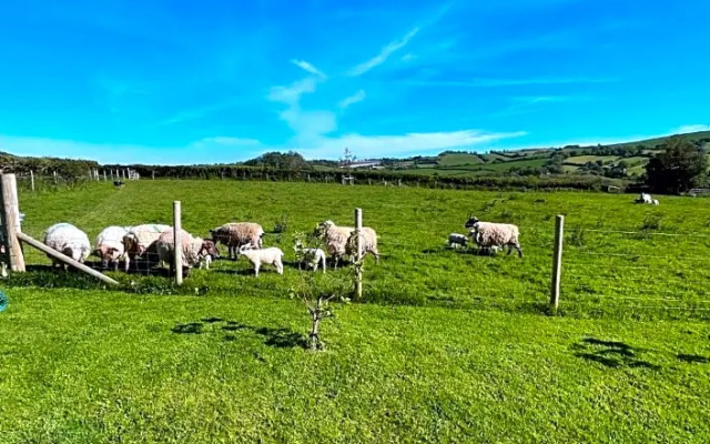 Westerley Country B & B with exclusive Guest lounge