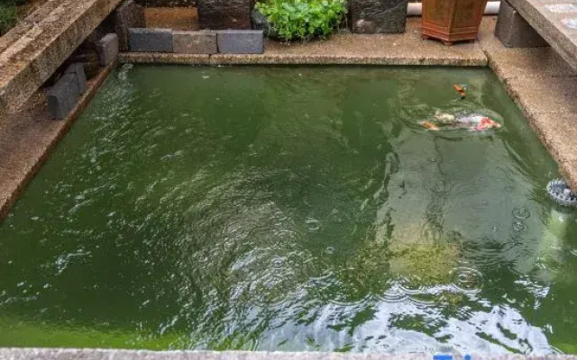 Huangshan Chengkan Yongxing Lake Homestay