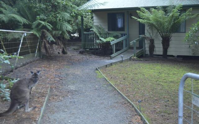 Fauna Australia Wildlife Retreat