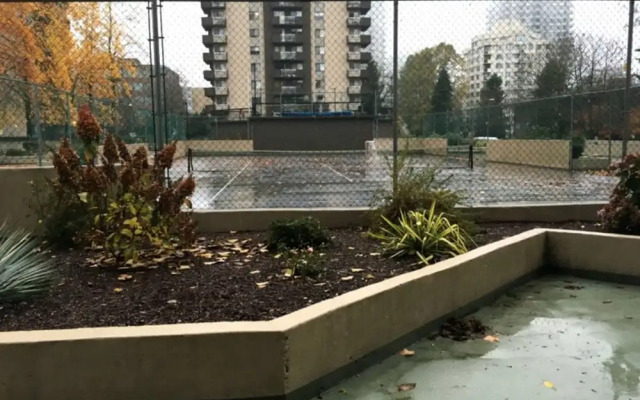 Pelicanstay in Burnaby Lake