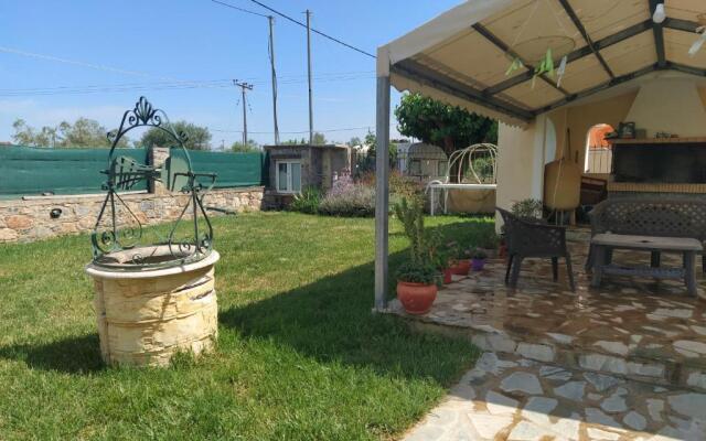 Vaso's House