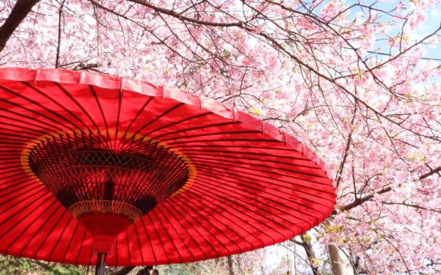 Stay SAKURA Kyoto Kiyomizu Ougi