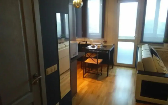 Lakshmi Dinamo Studio View