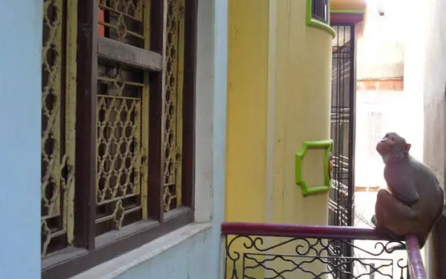 Marigold Guest House
