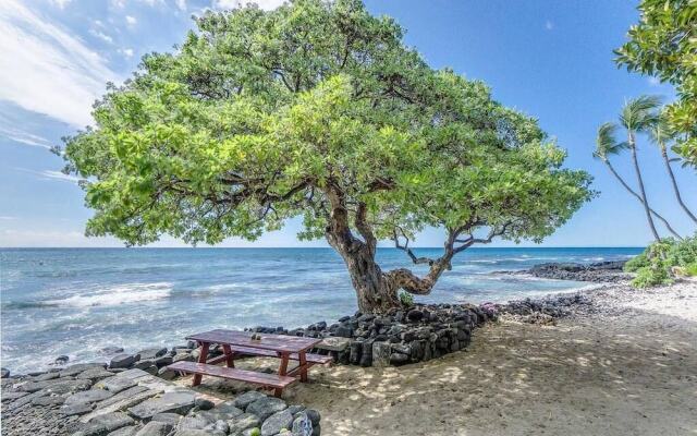 Kona Bali Kai #314 - 2 Bedroom