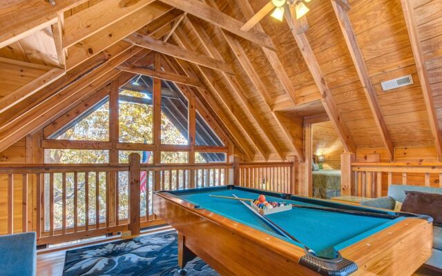 Bear Pause by Vtrips