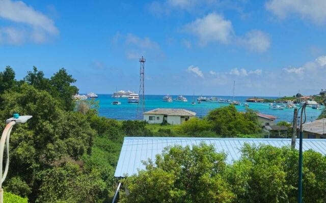 Hostal Flightless Cormorant