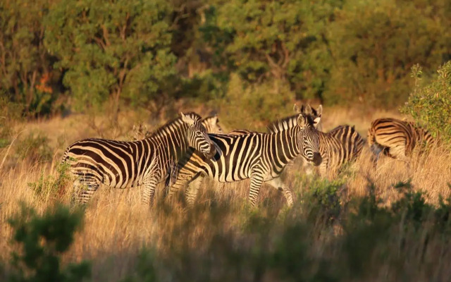 Shakama Private Game Lodge & Spa