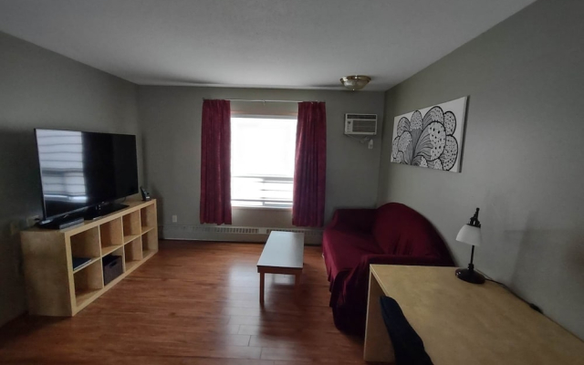 Stars Inn - Motel - фото 4