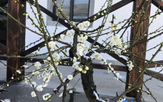 Huangshan Shuying Mountain Villa Art Theme Homestay