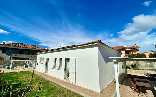 B&B Tigrillo