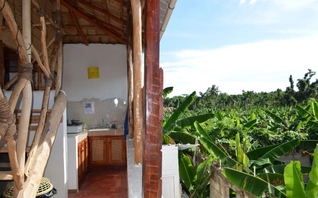 Hostel La Ballena Backpacker