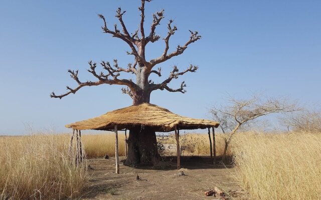 L'Ecolodge de Simal