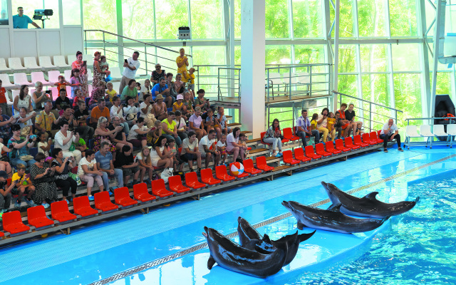 Океан (Владивосток)