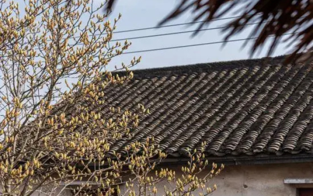 Yunlu Atrium Xixiangli Homestay (Kunshan Jinxi Branch)